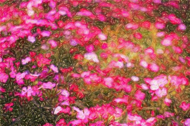 抽象花卉油画/照片艺术效果