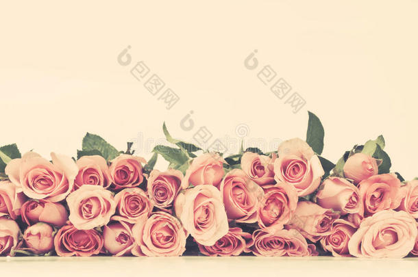 边界美丽，新鲜，甜蜜，粉红色玫瑰，为爱情浪漫