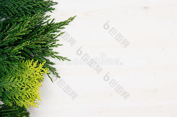 <strong>绿</strong>色幼针叶树的装饰<strong>边框</strong>，白色木桌背景上有复制空间。