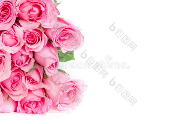 白色背景上的一束甜美的粉红色玫瑰花瓣，浪漫