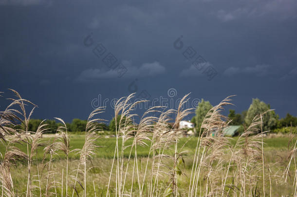 暴风<strong>雨来</strong>了