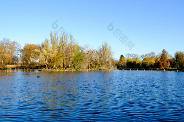 摄政`公园划船湖的秋天景象