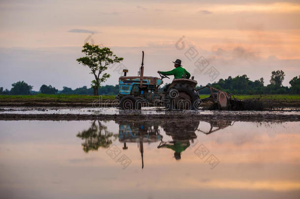 农民驾驶拖拉机在田里收获在<strong>农<strong>村</strong>，<strong>剪影</strong>。