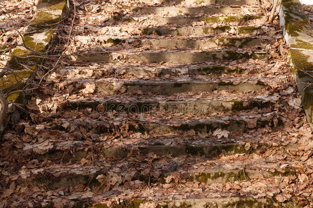 公园里的一条旧楼梯，上面覆盖着干树叶。 公园里的春天。