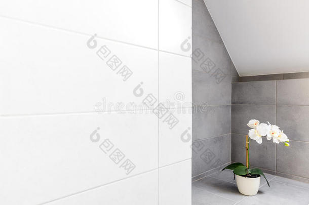 浴室有白色墙壁瓷砖