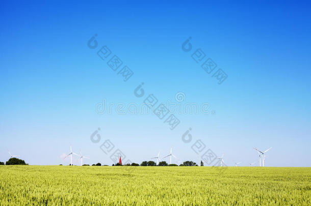 绿色的谷物场，地平线上有<strong>风</strong>车和蓝色的云