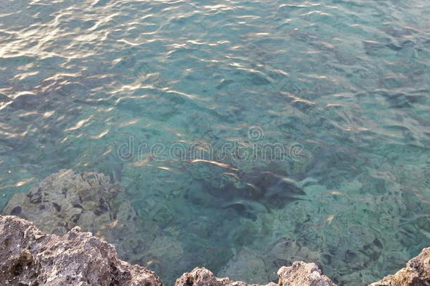 海滩颜色假期障碍意大利