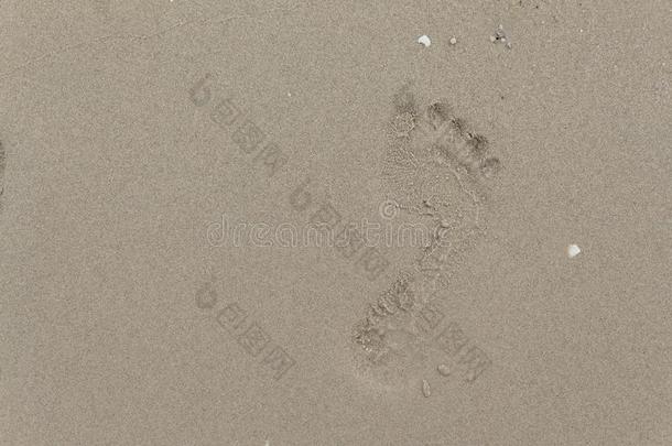 沙子上的脚印。 选择焦点脚印