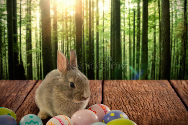 带有图案复活节彩蛋的兔子的复合图像