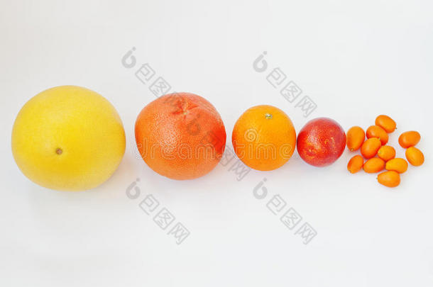 不同类型的柑橘。 异国<strong>水</strong>果金橘与橙色，血液（<strong>西西</strong>里）橙色和葡萄<strong>柚</strong>分离在白色背景。