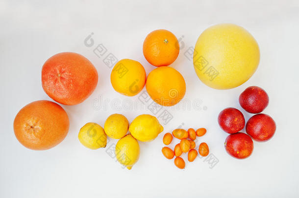 不同类型的柑橘。 异国<strong>水</strong>果金橘与橙色，柠檬，血液（<strong>西西</strong>里）橙色和葡萄<strong>柚</strong>分离在白色