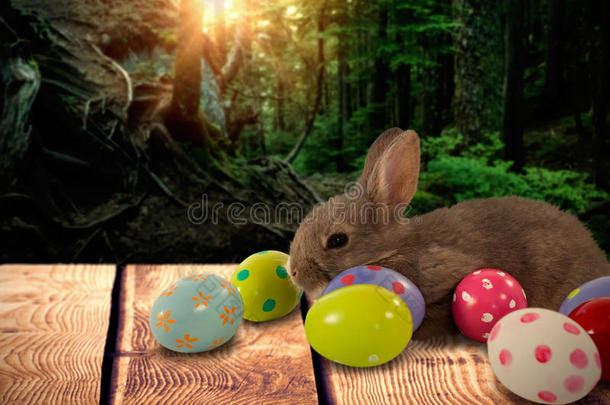棕色兔子与彩色复活节彩蛋的复合图像