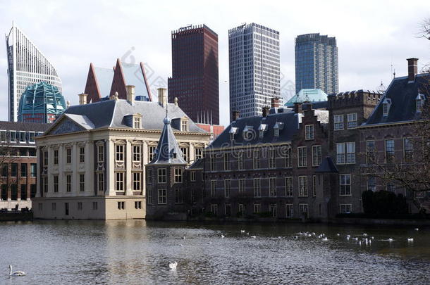 荷兰议会和政府