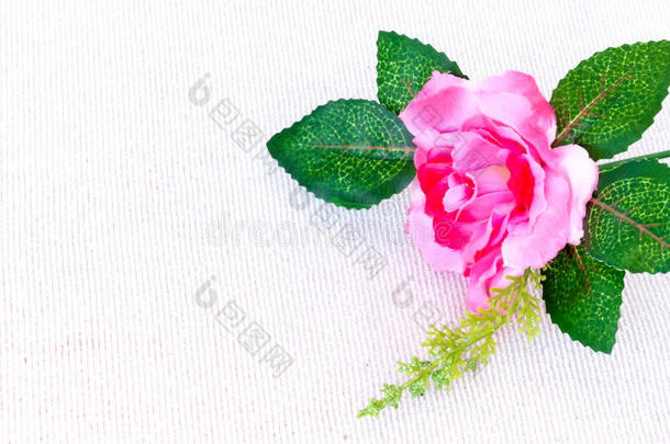 白色质地手帕上的特写粉红色玫瑰