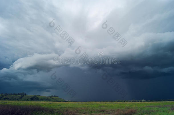 在暴风雨之前。 野生动物摄影。