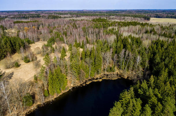 无人机图像。 带森林湖的农村地区鸟瞰