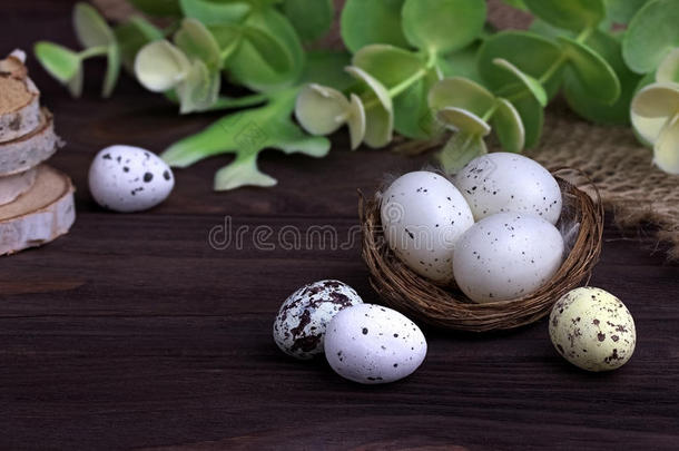 复活节装饰用复活节彩蛋在鸟巢里打嗝布绿枝。