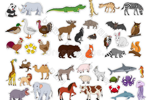 大动物设置，插图与动物收集分离在白色背景