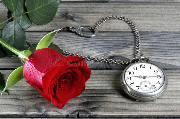 古董怀表和古董上的红玫瑰的特写