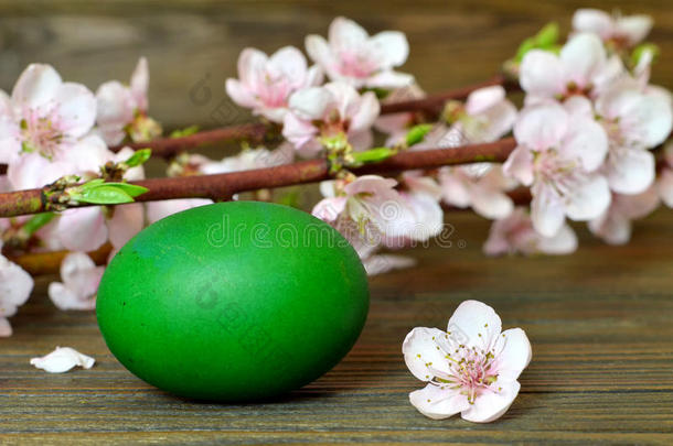 复活节卡片，绿色复活节鸡蛋和春天的树枝