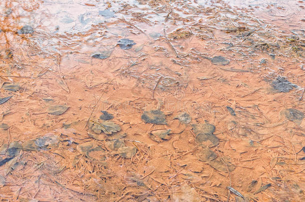 水下棕色污泥中的落叶。 铜色沉积物