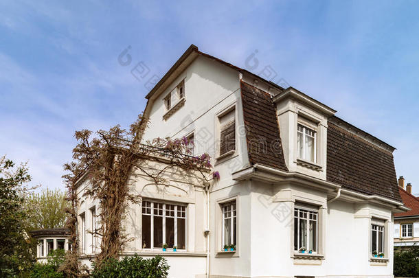 典型的法国住宅在斯特拉斯堡住宅区，开花春天，开花和园艺。