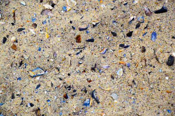 五颜六色的照片，海边的沙子上有很多彩色的破壳