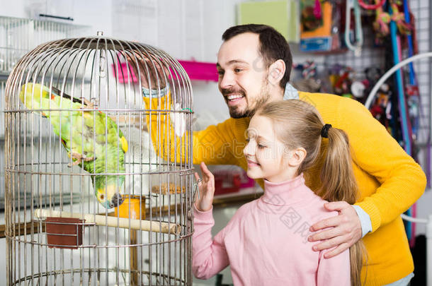 爸爸和女儿兴奋地在宠物店看到绿色鹦鹉