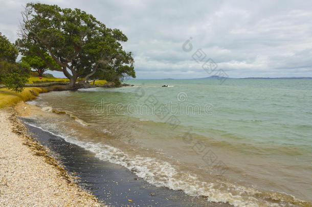 地区奥克兰海滩滩涂黑色