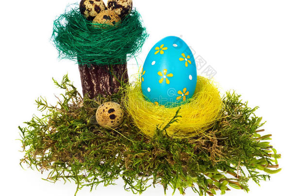 复活节彩蛋手绘五彩在鸟巢，森林苔藓，树桩