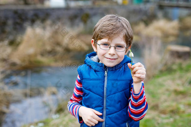 可爱的金发学龄前儿童男孩发现第一春花，美丽的雪滴