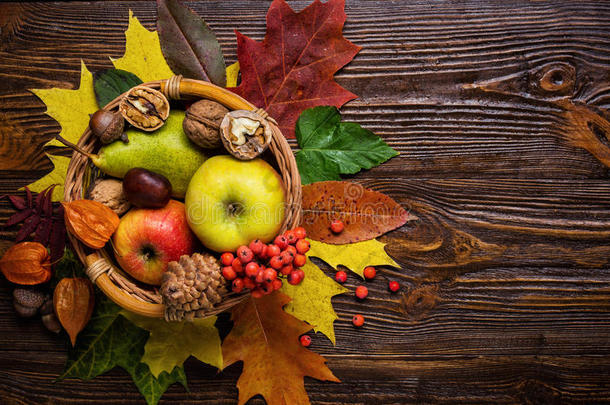 秋天的静物，收获秋天的果实，秋天的礼物，c