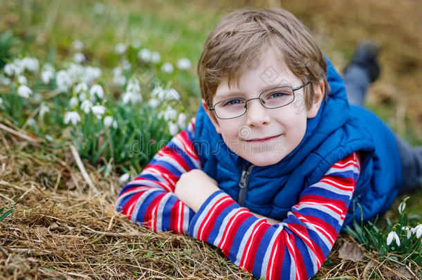 可爱的金发学龄前儿童男孩发现第一春花，美丽的雪滴