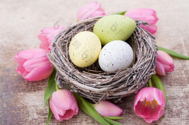 鸟巢里的复活节彩蛋。 春天的花朵郁金香。