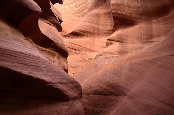 羚羊槽峡谷雕刻出红色砂岩
