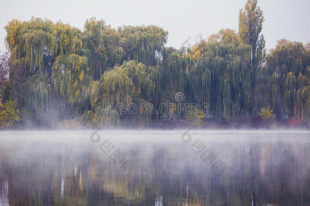 美丽的秋天风景。 湖面上的薄雾。 大雾天气。 a