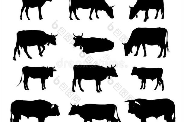 奶牛剪影-奶牛、公牛和小牛的图形矢量剪影
