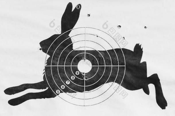 黑白照片，<strong>射击</strong>目标从气动<strong>射击</strong>的兔子形式。