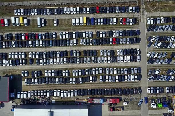 空中拍摄新的汽车和卡车停车，顶部视图