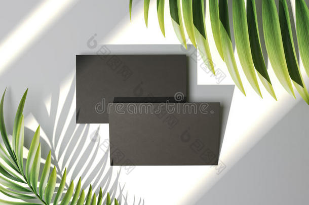 <strong>黑色名片</strong>和棕榈叶。 三维渲染
