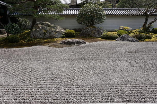 花园日本日本人京都苔藓