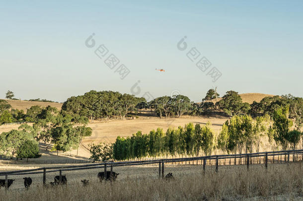 南澳大利亚一处农村地区的CFS消防直升机