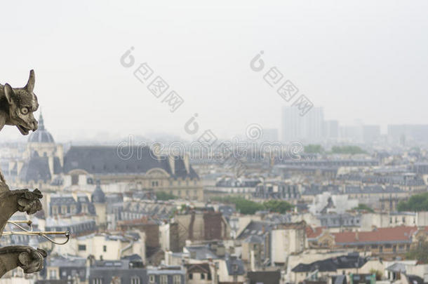 在<strong>阴云密布</strong>的日子里，在巴黎圣母院上空的奇美拉