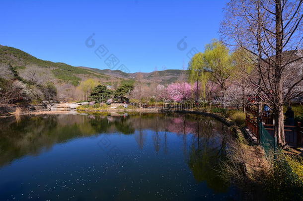 北京植物园