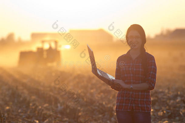 农业综合企业农业的农业秋天打捆