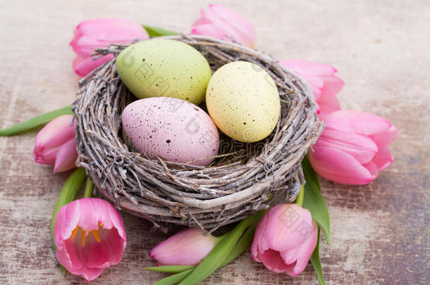 鸟巢里的复活节彩蛋。 春天的花朵郁金香。