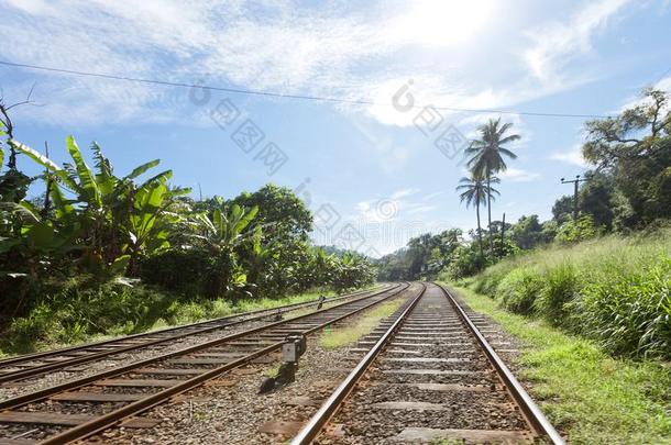 铁路关于斯里斯里兰卡
