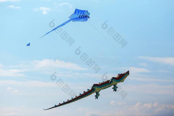 天空鳄鱼风筝和蓝色风筝采用指已提到的人天.风筝节日