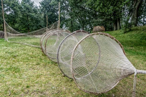 老的渔网采用遗产公园采用柯基,波兰