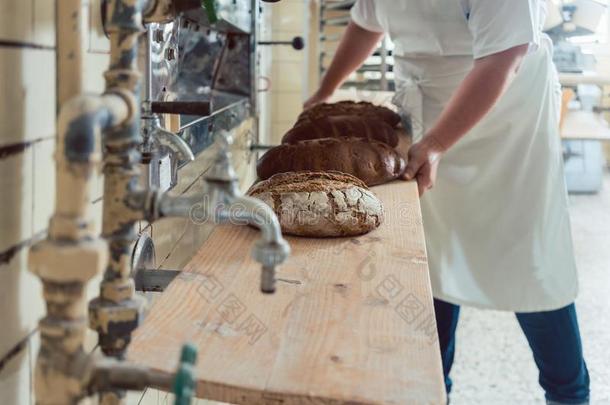 面包师女人获得面包游荡出局关于面包房烤箱